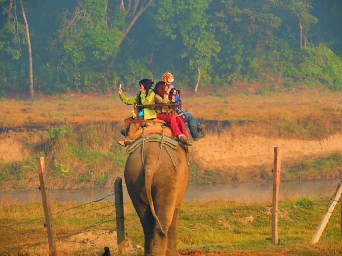 Visit and see the natural beauty of Chitwan.
